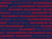 Mosaik aus Bildern und Motiven der DiG-Arbeiten.